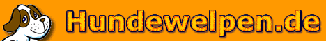 www.hundewelpen.de