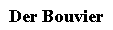 DerBouvier.gif
