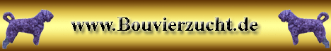 www.bouvierzucht.de